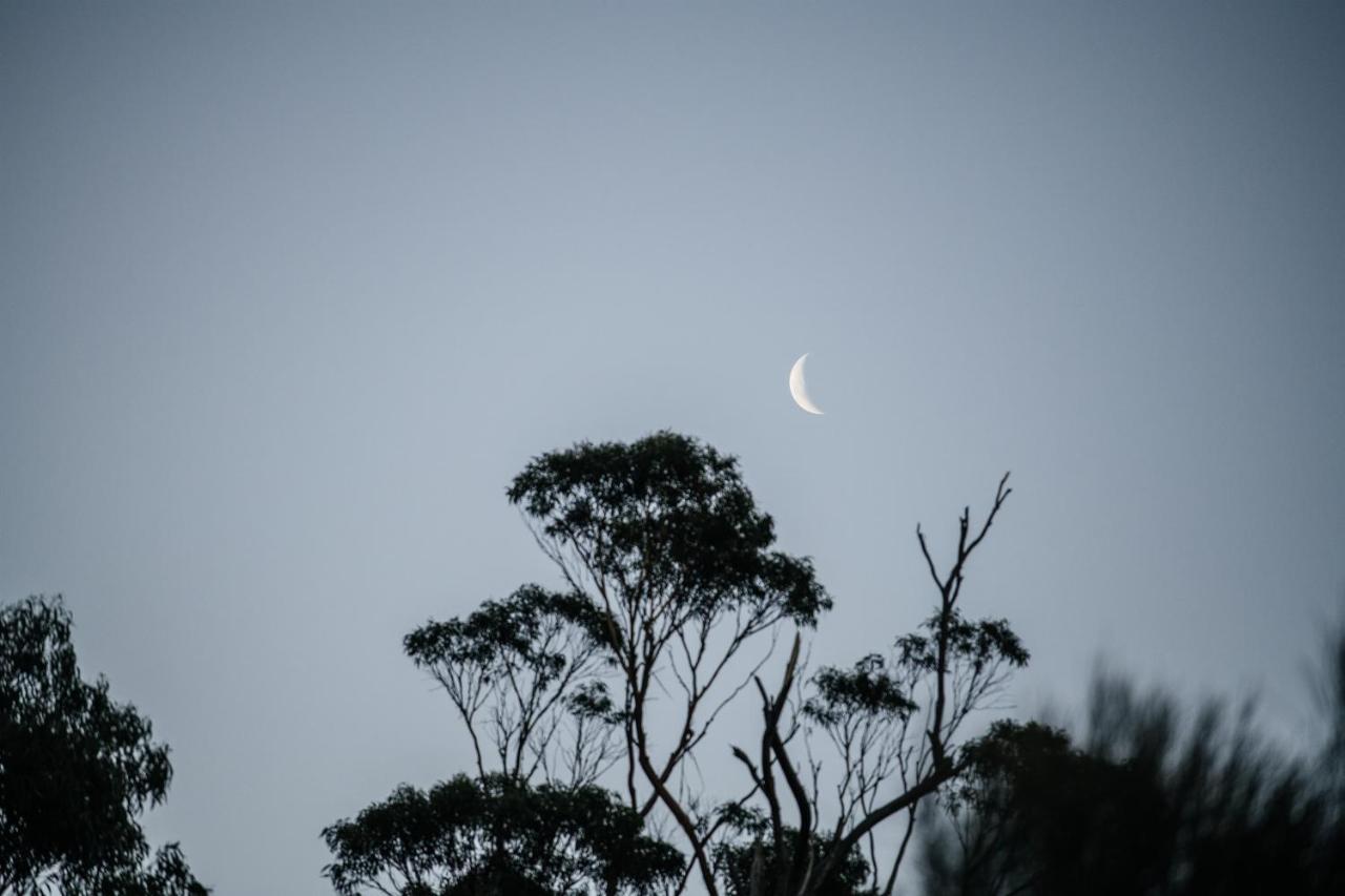 Freycinet Resort Coles Bay Esterno foto