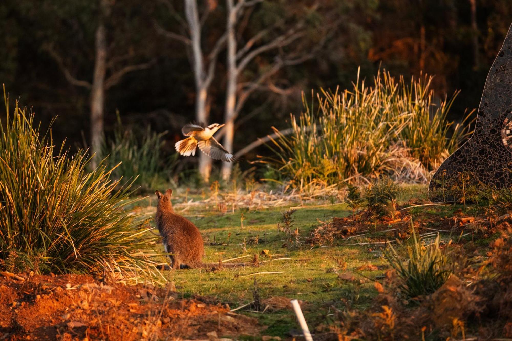 Freycinet Resort Coles Bay Esterno foto